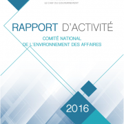 Rapport d'activité 2016